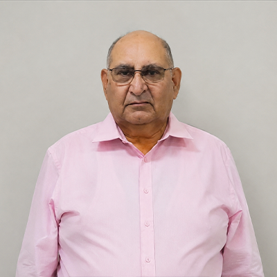 P. N. Razdan